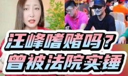 老汪爆料赌博视频在线观看,揭秘赌博视频，在线观看惊心动魄瞬间